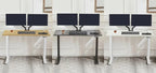Adjustable Standing Smart Computer Desk