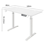 Modern Electric Height Adjustable Standing Desk