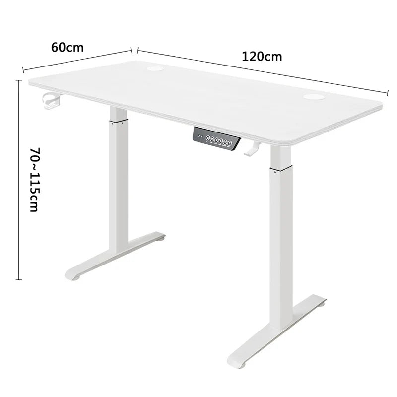 Modern Electric Height Adjustable Standing Desk