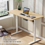 Modern Electric Height Adjustable Standing Desk