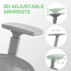 Mesh Ergonomic Office Chair with Footrest