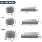 Giant Convertible Bean Bag Chair Bed