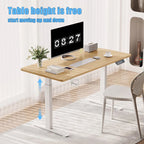 Modern Electric Height Adjustable Standing Desk