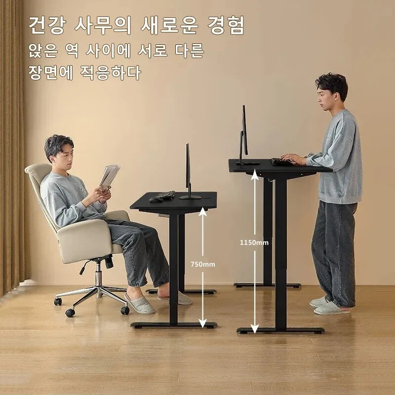 Modern Electric Height Adjustable Standing Desk