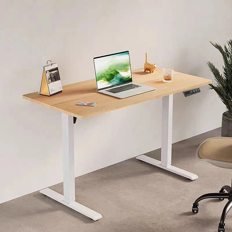 Adjustable Standing Smart Computer Desk