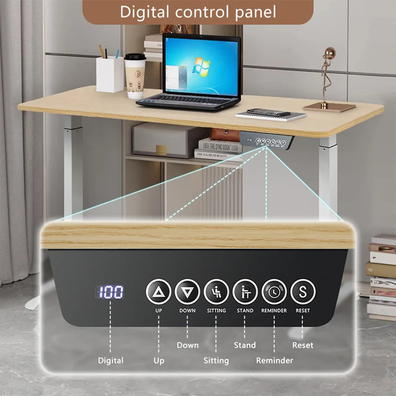 Modern Electric Height Adjustable Standing Desk