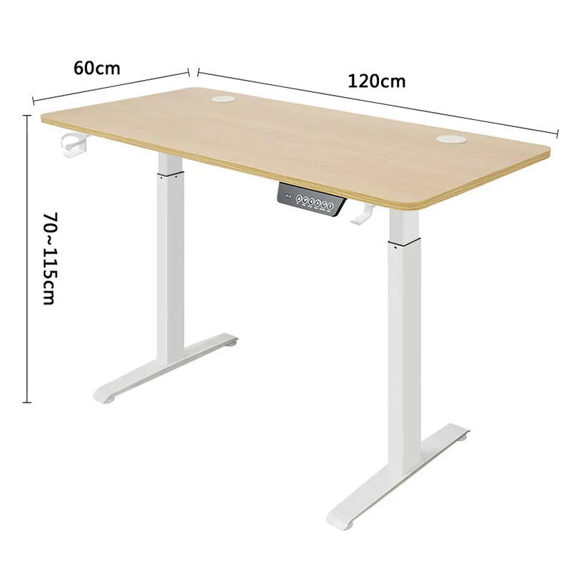 Modern Electric Height Adjustable Standing Desk