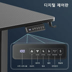 Modern Electric Height Adjustable Standing Desk